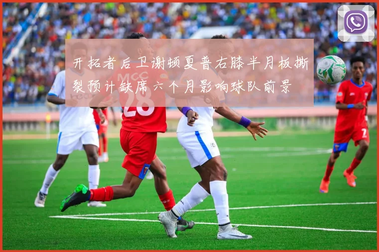开拓者后卫谢顿夏普右膝半月板撕裂预计缺席六个月影响球队前景